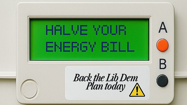 An energy meter mockup which reads "Halve your energy bill" and "Back the Lib Dem plan today"